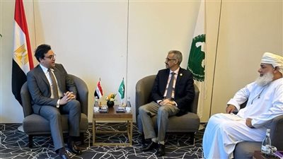 وزير الثقافة لمدير الألكسو: الوزارة ستظل راعية لجميع المبادرات الهادفة لتعزيز الهوية العربية 