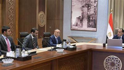 رئيس الوزراء: افتتاح مصنع سيارات جيلي أوتو في مصر خلال ساعات | بث مباشر