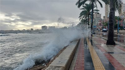 تعديل مواعيد الامتحانات في الإسكندرية غدا بسبب سوء الأحوال الجوية