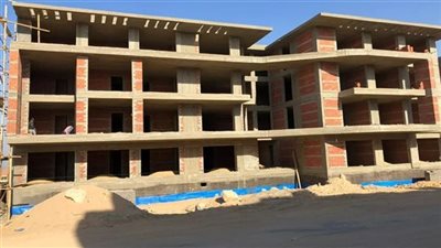 حبس صاحبة شركة وزوجها لنصبهما على المواطنين بملايين الجنيهات في المعصرة