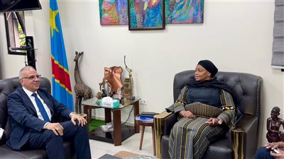 وزير الري يناقش موقف بروتوكول التعاون مع الكونغو لإنشاء 12 محطة مياه شرب جوفية بـ كينشاسا