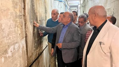 وزير الكهرباء: زيادة قدرات محطة كهرباء السد العالي لتوفير 269 مليون دولار سنويًا