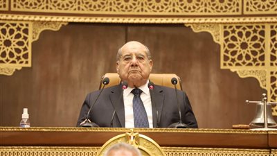 مجلس الشيوخ يناقش تطوير النظام الجمركي وآليات تعزيز دور المالية في استحداث الخدمات والتسجيل المسبق للشحنات