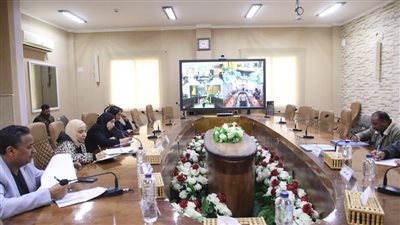 إجراءات لإزالة التعديات وضبط مخالفات البناء في الوادي الجديد