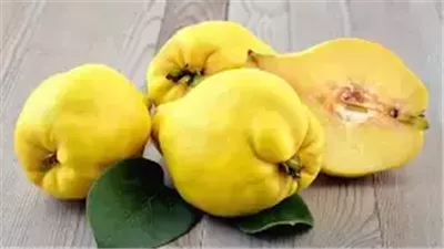 يحسن صحة الأمعاء والهضم.. ما هو السفرجل؟