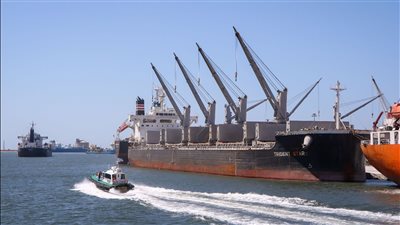 ميناء دمياط يستقبل 10 سفن و197 حاوية مكافئة خلال 24 ساعة