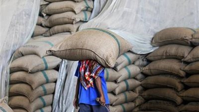 إجمالي الخسائر المجمعة لمطاحن ومخابز جنوب القاهرة والجيزة يتجاوز 110 ملايين جنيه