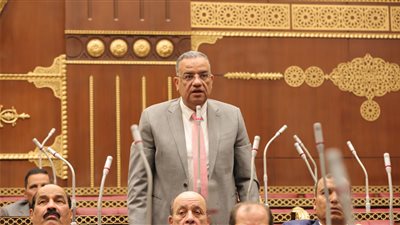 محمود مسلم يطالب الحكومة بدعم خطة الترويج للمزارات السياحية الدينية