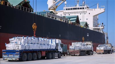 ميناء دمياط يستقبل 10 سفن تجارية بإجمالي بضائع تزن 64.8 ألف طن