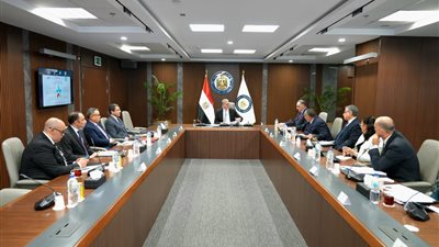 وزير البترول: توجيه الغاز الطبيعي القادم من الصحراء الغربية إلى صناعة البتروكيماويات