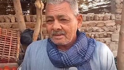 بعد 35 عامًا بالتعليم.. عم عربي بائع خضار بالأقصر: الشغل مش عيب| بث مباشر