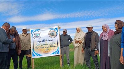 انطلاق الحملة القومية للنهوض بزراعة القمح في جنوب سيناء
