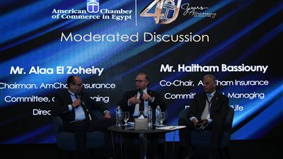 الرقابة المالية: ثورة تشريعية وتنظيمية شاملة لتعزيز دور التأمين في الاقتصاد القومي