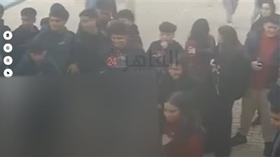 مدرسة كابيتال الدولية: قرار فصل الطالبات المعتديات على كارما جاء قبل ضغط السوشيال ميديا وتدخل الوزارة