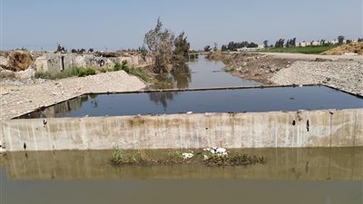 ارتفاع منسوب مياه “بحر البقر” في الشرقية لـ 96 ساعة.. والري ترد (خاص)