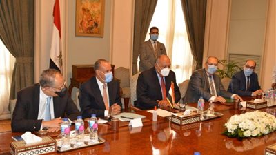 سامح شكري يستقبل وزير خارجية أرمينيا (صور)