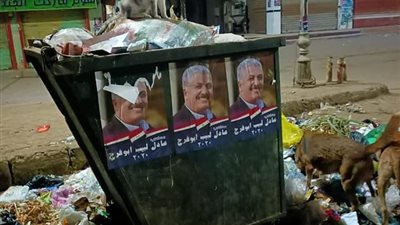 صور مرشح لمجلس النواب على صناديق القمامة تثير الجدل بالمنوفية (صور)