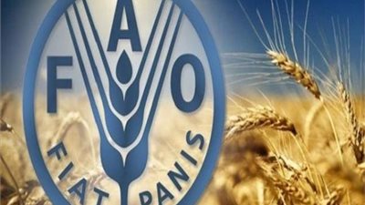“الفاو”: جائحة كورونا تهديد جديد للأمن الغذائي وتأثيراتها تطال جميع مناحي حياتنا