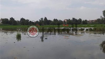 “الري”: الفيضان أعلى من المتوسط.. ونخشى تكرار سيناريو 2016 (فيديو)