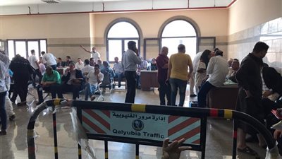 11 ضابط شرطة بالمعاش يخوضون انتخابات “النواب” بالنظام الفردي في البحيرة