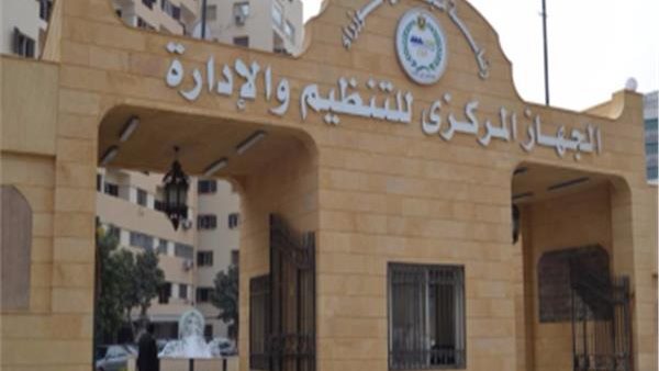 التنظيم والإدارة