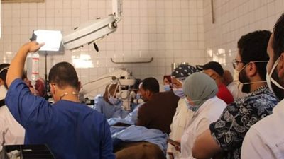 حديقة الحيوان: نجاح العملية الجراحية للأسد هوجان وحالته الصحية جيدة (صور)