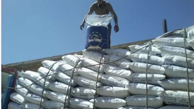 “أبو قير للأسمدة”: استثمارات بـ100 مليون دولار لتقليل الانبعاثات وزيادة الإنتاج