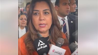 وزيرة التنمية المحلية: نحارب الغلاء بالتوسع في إنشاء الأسواق.. وبازار القاهرة هو الأضخم حتى الآن| فيديو