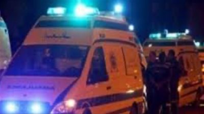 مريض نفسي.. تفاصيل جديدة في واقعة قطع شخص رأس جاره والتجول بها بالأقصر