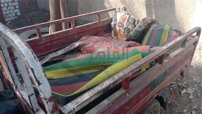 ضبط تروسيكل محمل بـ لحوم حمير معدة للبيع في الفيوم