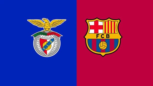 القنوات الناقلة لـ