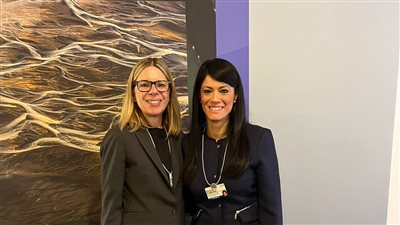 المشاط: إعداد استراتيجية الاستثمار الأجنبي المباشر بالتعاون الفني مع البنك الدولي