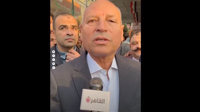 محافظ القاهرة: المواطن بقى واعي ولما بيلاقي سلعة غالية بيقول للتاجر شوفتها بره أرخص| فيديو
