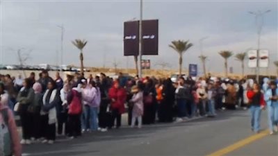 محافظ القاهرة يدرس تخفيض سعر تذكرة أوتوبيسات النقل العام لخدمة زوار معرض الكتاب | بث مباشر