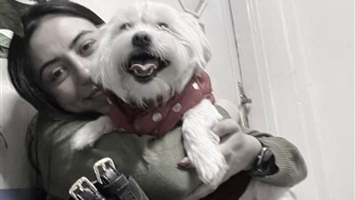 بسبب إهمال طبي.. صيدلانية تستغيث بتسبب بيطرية في وفاة كلبتها: هصعد الأمر للنقابة 