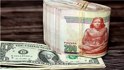 التفاصيل الكاملة لخفض أسعار الفائدة على شهادات الادخار بالجنيه والدولار بالبنوك الحكومية