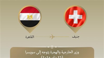 وزير الخارجية يتوجه إلى جنيف لترأس الوفد المصرى بجلسة استعراض أوضاع حقوق الإنسان