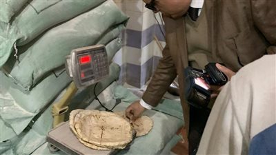 ضبط كميات من المواد الغذائية غير صالحة للاستهلاك الآدمي بالدقهلية 