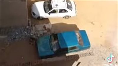 رجل يلقي قطة من طابق عقار بالبدرشين في فيديو متداول.. والأمن يفحص
