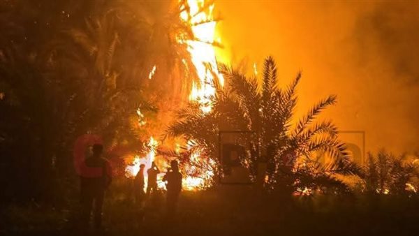 صورة أرشيفية 