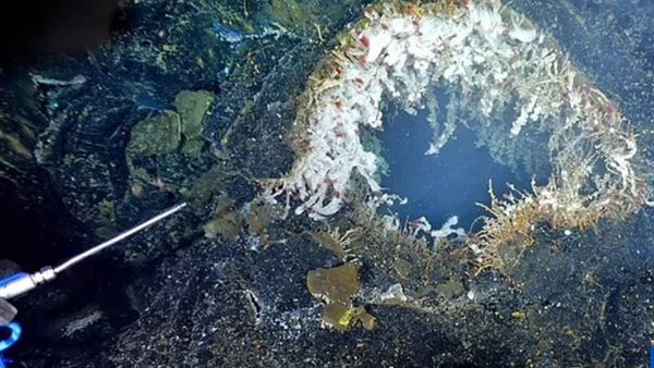 ثوران الجبل البحري