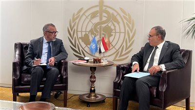 وزير الخارجية يبحث مع مدير الصحة العالمية توفير خدمات صحية ومستشفيات ميدانية داخل غزة