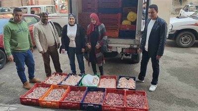 ضبط كميات كبيرة من الجبن والكبد مجهولة المصدر في حملة تموين ببورسعيد