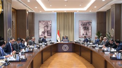 رئيس الوزراء يوجه بسرعة دراسة الإجراءات المقترحة لتقليل زمن الإفراج الجمركي عن البضائع 