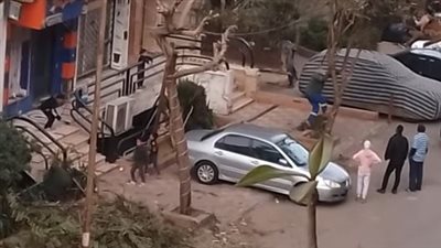 قطع شجرتين بأحد شوارع مدينة نصر يثير غضب السكان.. وهيئة النظافة بالقاهرة تحقق | صور