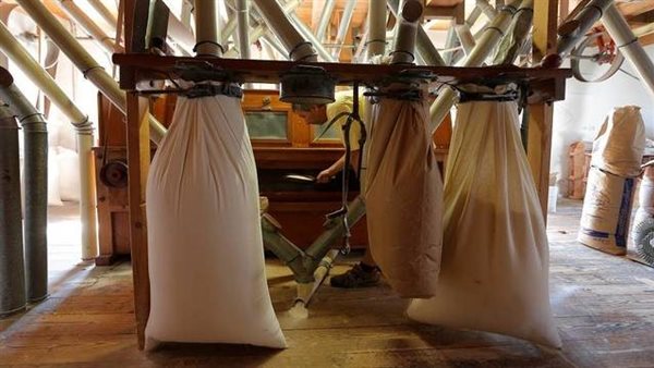 مطاحن ومخابز الإسكندرية