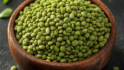 فوائد صحية مذهلة للعدس الأخضر.. تعرف عليها