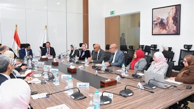 معلومات الوزراء: رقمنة أكثر من 50 مليون عنصر بيان في قواعد البيانات