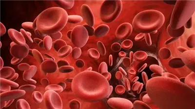 طرح علاج جيني جديد لمرضى فقر الدم في بريطانيا.. ما هي تكلفته؟