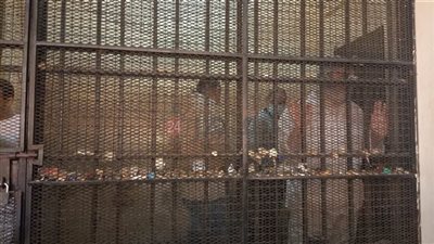 تأجيل محاكمة 3 متهمين بخلية داعش عين شمس لجلسة 27 ديسمبر